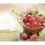 Früchtetee Erdbeer-Himbeer-Geschmack, aromatisiert in Ketten, okZ, -A